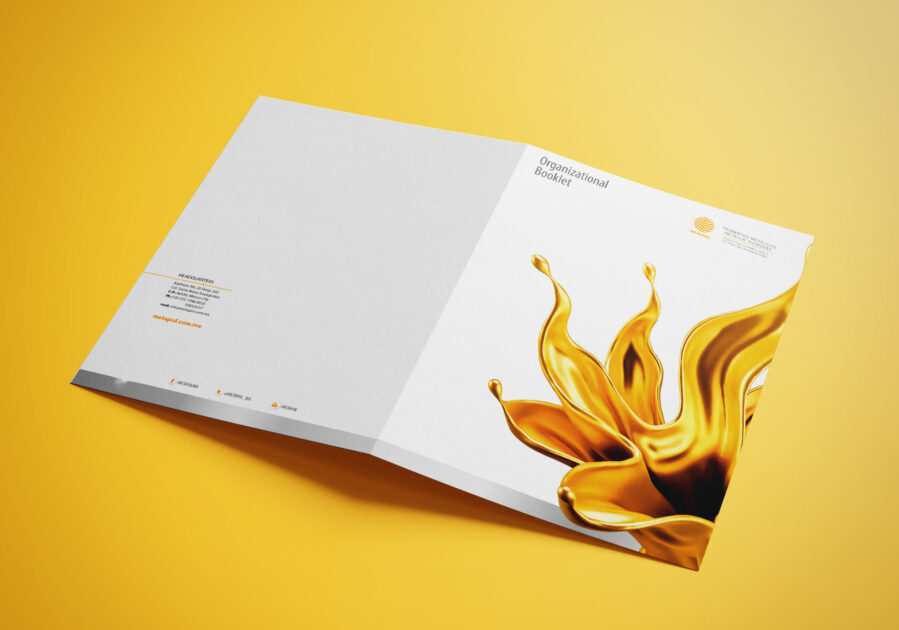 Diseño de logotipos diseño de logos puebla