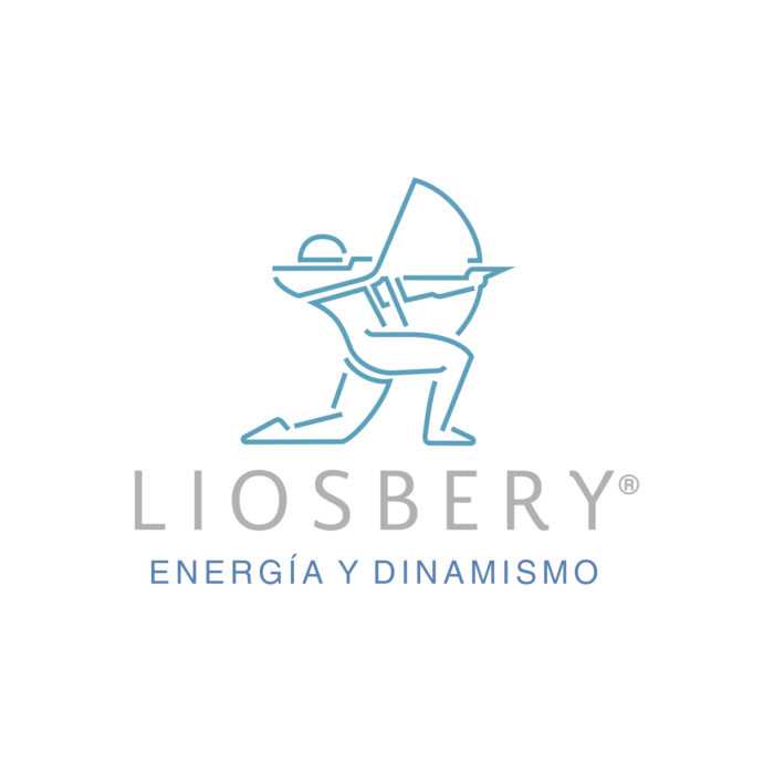 diseño de logotipo - liosbery