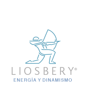 diseño de logotipo - liosbery