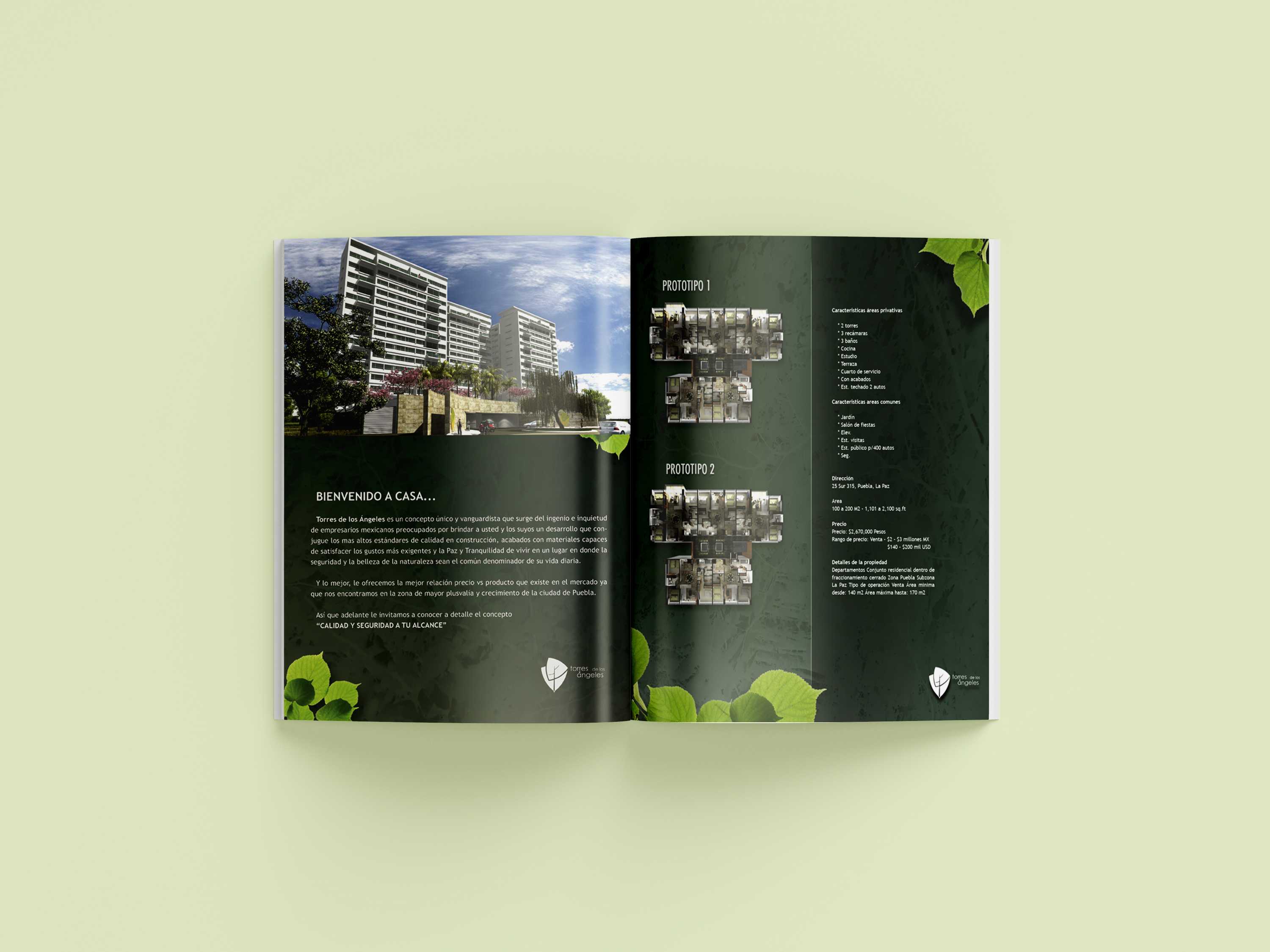 diseño gráfico aplicaciones identidad Griffin Puebla